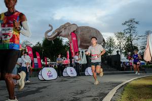 BIB: 
                            <button type="button" onclick="openModal(26529402)" class="btn btn-primary btn-sm float-right btn-popup" data-toggle="modal" data-target=".modal-high-quality">
                        <i class="fas fa-shopping-cart"></i> Add to Cart
                    </button>
                                            <button type="button" onclick="isThisMe(26529402, true)" class="btn btn-success btn-sm float-right btn-popup btn-isme hidden" data-toggle="tooltip" data-placement="bottom" title="นี่คือรูปของคุณใช่ไหม คลิกที่นี่เพื่อเอาเข้าอัลบั้ม">
                        <i class="fas fa-plus"></i> Add to album
                    </button>
                    <button type="button" onclick="isThisMe(26529402, false)" class="btn btn-warning btn-sm float-right btn-popup btn-isnotme hidden">
                        <i class="fas fa-ban"></i> Remove from album
                    </button>